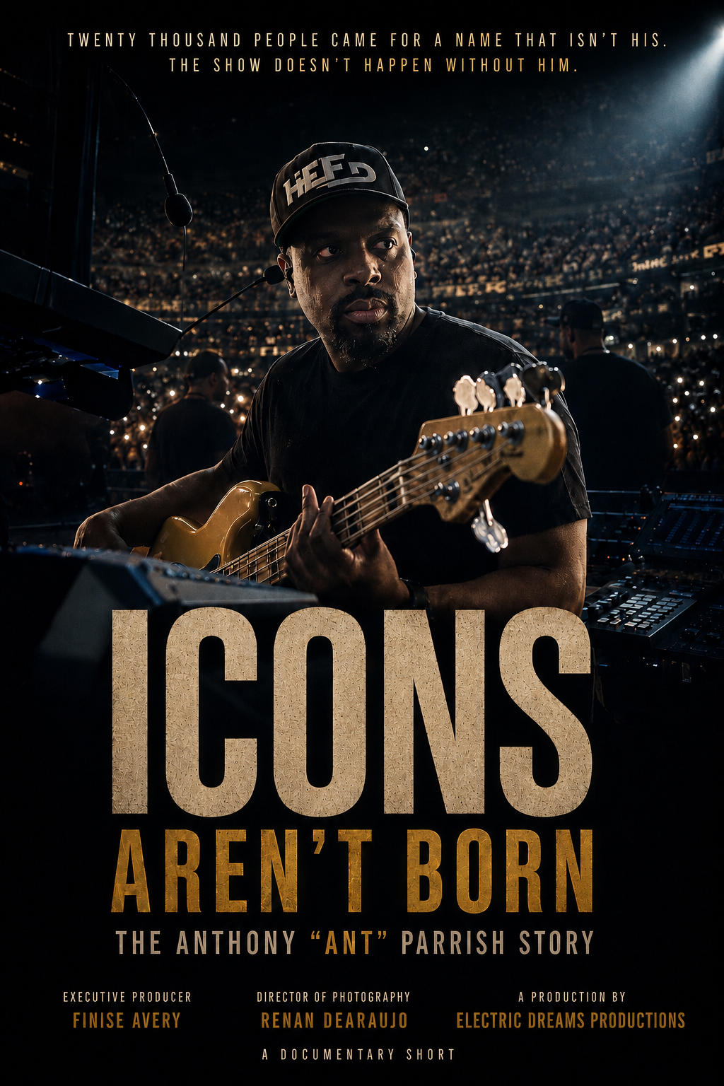 Icons Aren't Born poster