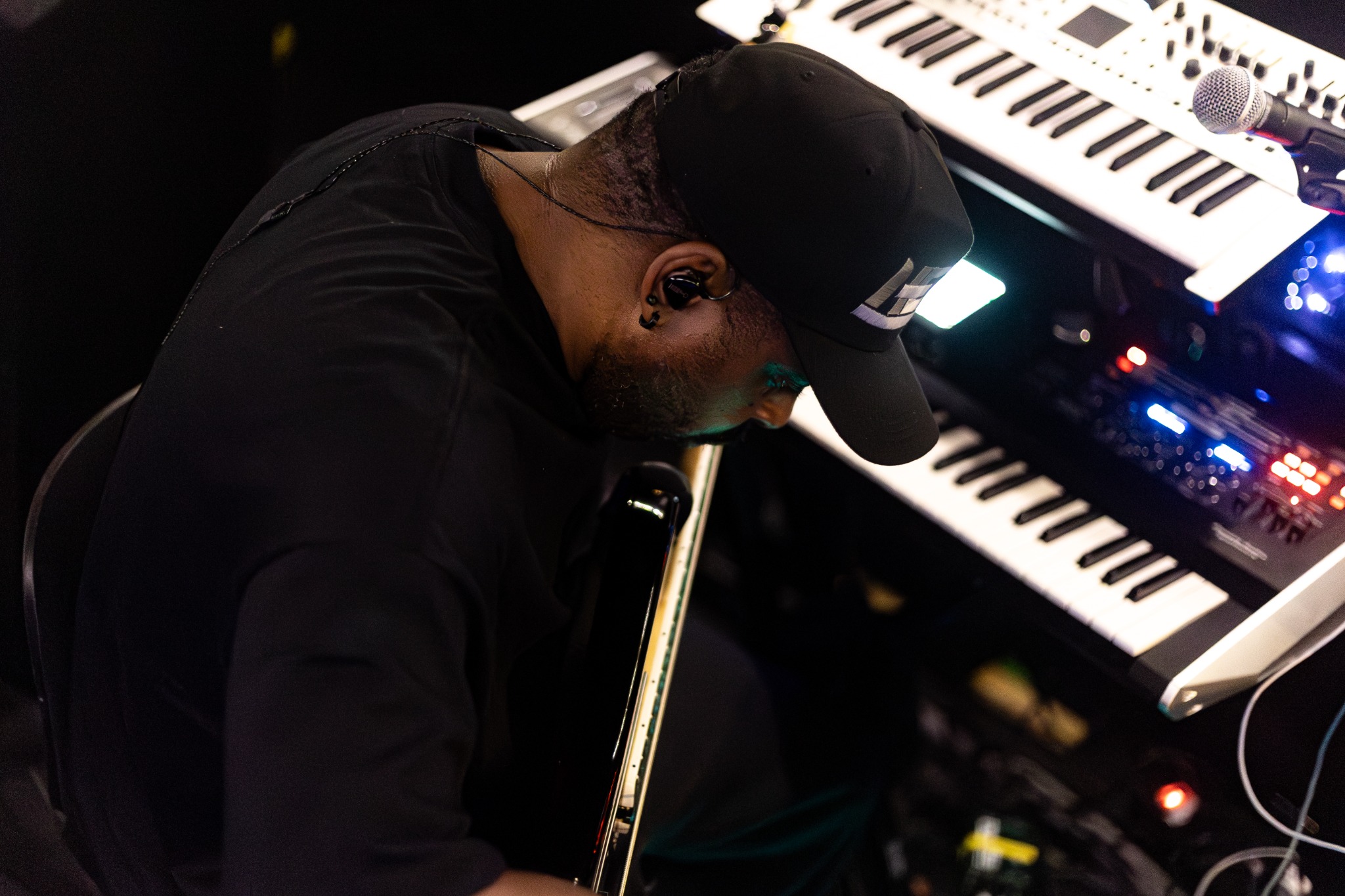 Ant beside keyboards